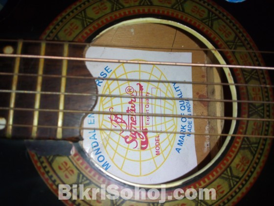 acoustic signature guitar